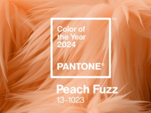 2024 Pantone Rengi: Peach Fuzz ve Moda Dünyasındaki Yansımaları